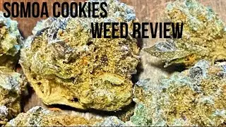 Weed Review - Samoa Cookies By Pigeon Racer Farm Review