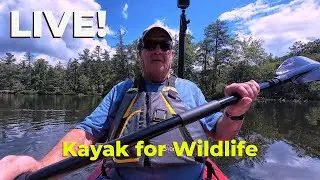 Kayaking with Nikon D500 and 500pf Lens