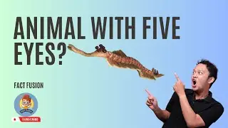 Mystery of Opabinia : weird animal with five - eyes |@factfusionlk
