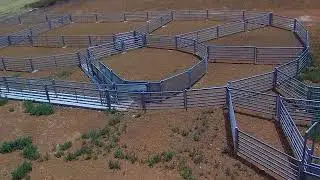 Commander Ag Quip Sheepyards