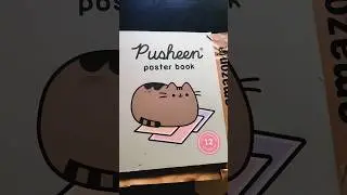 #shortvideo unboxing #unboxingvideo pusheen  cat poster book #shortsfeed plz subscribe for more art