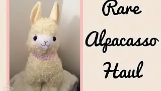Rare Alpacasso Haul (Y!J Auctions)