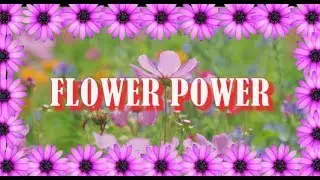 FLOWER POWER - GIULIETTA JV & JANICE ZAMB &reg;original