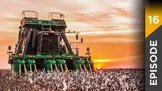 Season 1 | Episode 16 | The value of cotton
