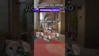 МОЙ ТВИЧ MRHIK1 #cs #cs2 #кс #кс #mem #memes #mrhiki #csfail