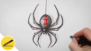 Spider drawing &mdash; How to draw a Black Widow Spider step by step