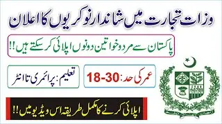 MOC September Jobs 2020|Ministry of Commerce Jobs 2020| How to Apply in MOC Jobs 2020|MOC Jobs 2020|