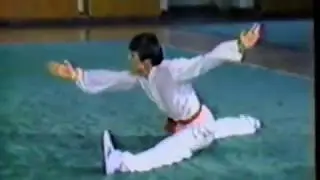 Changquan Wushu Basics : Advanced Movements