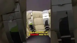 White Gold or Steel Pepsi...Best Piece?