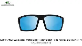 Spy REBAR ANSI Sunglasses Matte Black Happy Boost Polar with Ice Blue Mirror   0 1 9 1