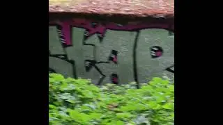 Inner beauty lurking within the heart of the city's Kelly butte in SE Portland