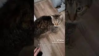 Без них ніяк