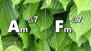 Am maj7 to Fm maj7 Backing Track
