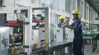 Taro Pumps Established