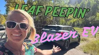 LEAF PEEP 2025 - BLAZER EV