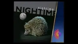 Meridian | Nightime Continuity | Adverts | ITN News Summary | 1993