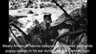 U.S. Marines in Korean War; Photos by David Duncan, 1950