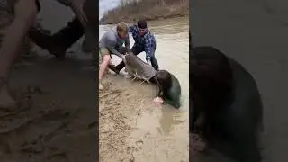 giant fish jumps out... woman shocked badly #viral