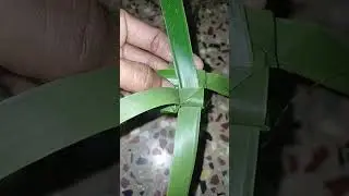 cocunut leaf art #shorts