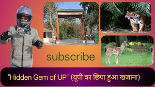 कतर्नियाघाट के घने जंगलों में खो गए! 🐯 (Jungle Ride)