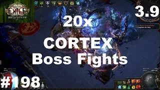 20x CORTEX BOSS FIGHTS - 198