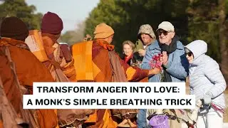 Day 94: How to Love Someone You Hate &ndash; A Monk&rsquo;s Guide to Permanent Peace 🕊