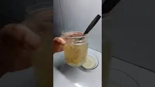 tutorial membuat ginger bug