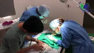 Advanced Vet Center