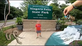 NIAGARA FALLS!!! Geocache, Snakes, and much more!