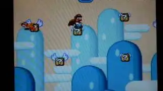 Mario World hack level 3