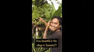 🇲🇨 Village Life in Sumatra Indonesia #shorts #indonesiavlog #sumatra #villagelife
