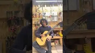 Cervantes Crossover 1 , cypress spruce demo