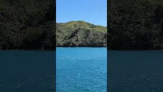 Ferry to Picton 🛳️ #nz #newzealand #travel #holiday #nature #vacation #island #beautiful #explore