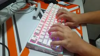 Tecware Phantom TKL Akko CS Rose Red Switches