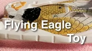 Flying Eagle Toy