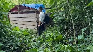 The young chairman left the city for the forest to grow vegetables and raise chickens.19