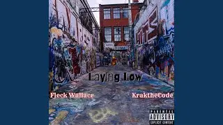 Laying Low (feat. Fleck Wallace)