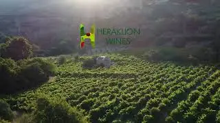 &Omicron;&iota;&nu;&omicron;&pi;&omicron;&iota;&epsilon;ί&omicron; &Delta;&iota;&alpha;&mu;&alpha;&nu;&tau;ά&kappa;&eta; | Diamantakis Winery (&Mu;έ&rho;&omicron;&sigmaf; 2&omicron;)