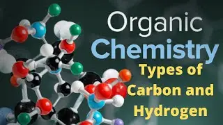 CLASS 11 ORGANIC CHEMISTRY! TYPES OF CARBON AND HYDROGEN ATOMS
