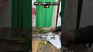 Bolne wala Tota 🦜#funny #trending #viral #parrot #cute #comedy #viralshorts #youtubeshorts #shorts