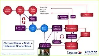 From Brain Fog to Mast Cell Activation: Unlocking the Underlying Connection (Dr Yanuck)