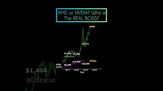 $1K to $400K! AMD vs. NVIDIA &ndash; Which One Made You Rich? 🚀💰 #stockmarket #altcoininvesting #trading