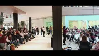 Festival band performance at Rosedale mall, Roseville,MN - Raguram playing oboe