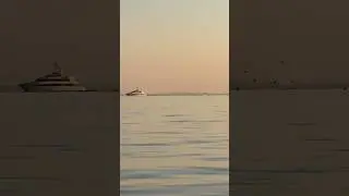 Calm sea blue fish blitz north shore kayak fishing