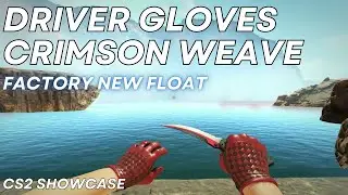 Driver Gloves Crimson Weave  | CS2 Skin Showcase #1190