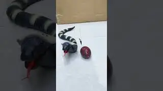 # RC Cobra # new # tranding # viral short