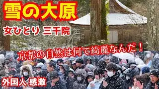 日本の冬はなんで素晴らしいんだ！雪降る大原三千院が外国人観光客の心に響く！白銀の京都