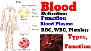 Blood And Plasma||RBC||WBC||Platelets and Functions In Nepali Explanation Biology 10th and 12th