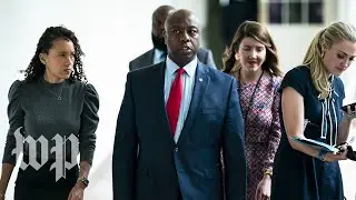 WATCH: Sen. Tim Scott and GOP leadership introduces police reform legislation