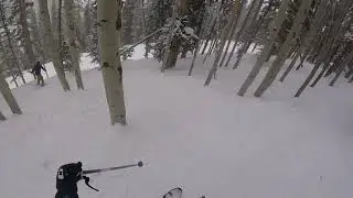 McConkeys Black Forest Park City